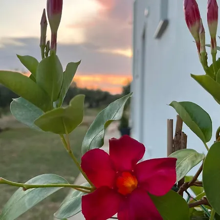 Giardino Del Belice ベッド・アンド・ブレックファスト ポルト・パーロ